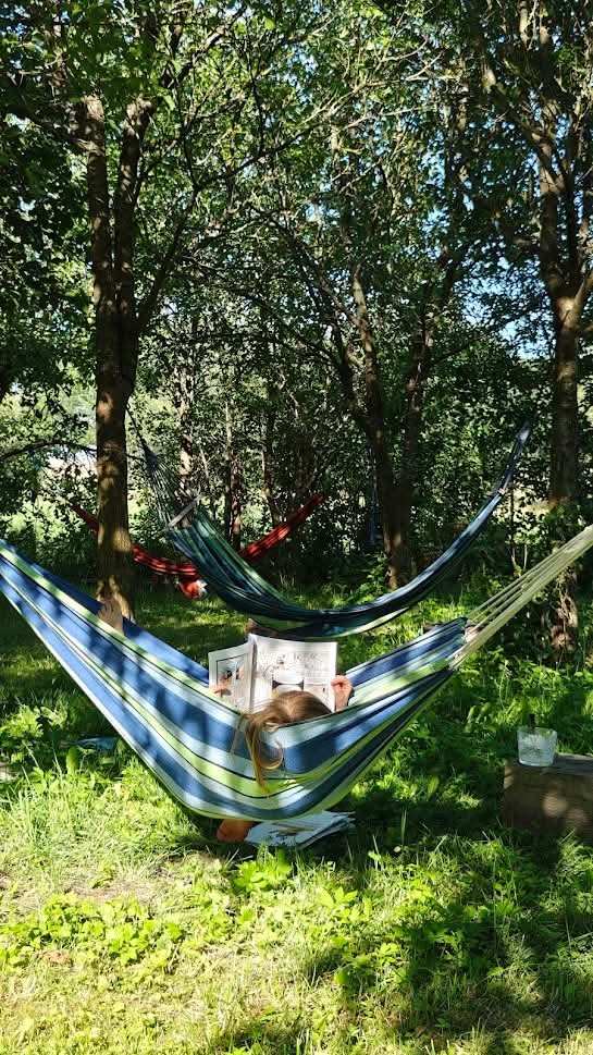 FB_IMG_1764102423884